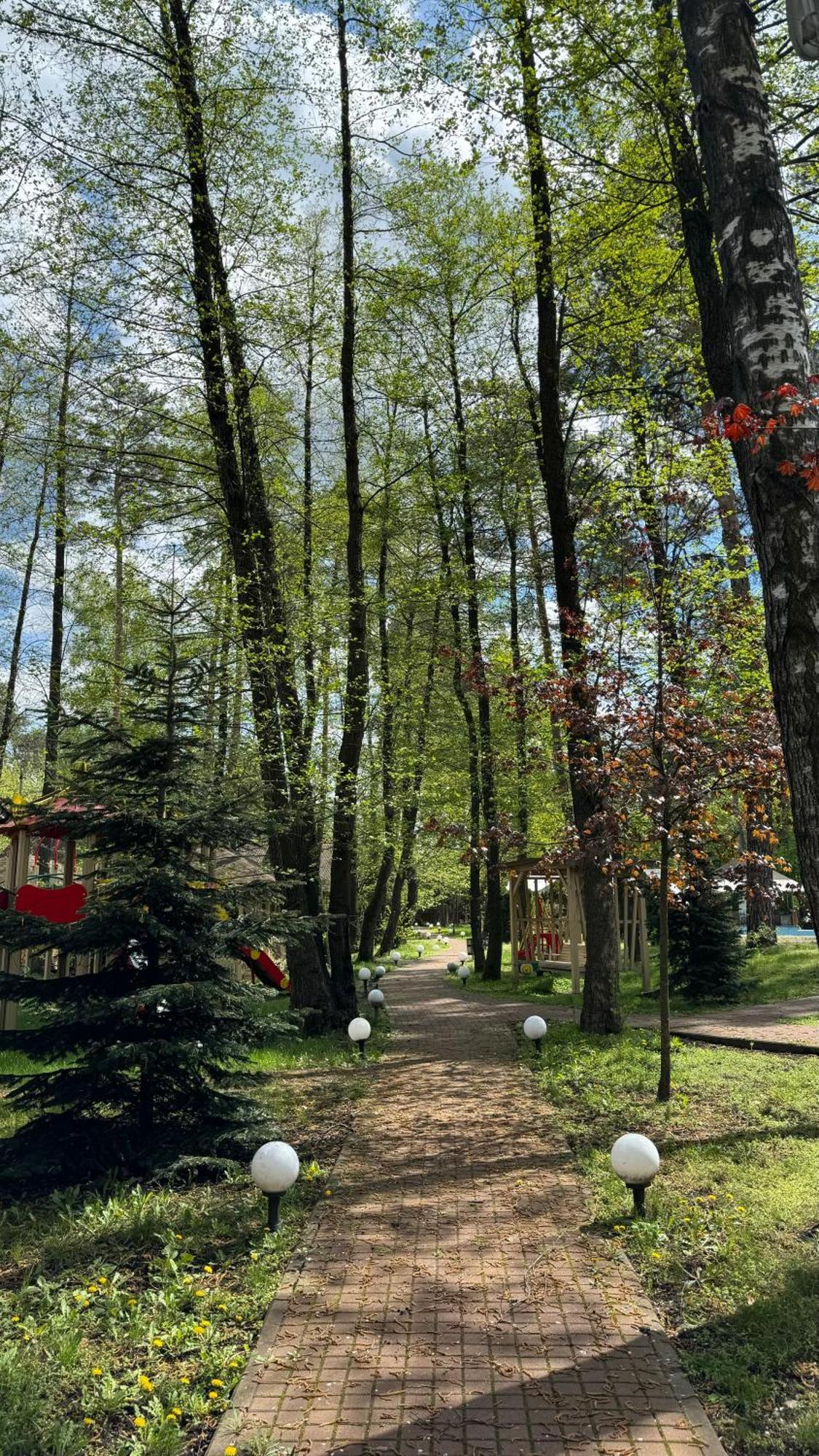 Tysha Forest Club Romankiv Buitenkant foto